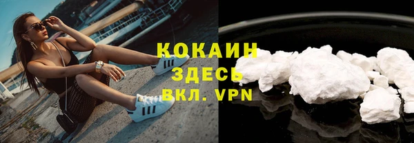 мет Инта