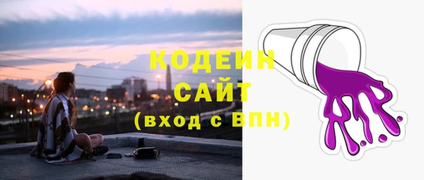 мет Инта