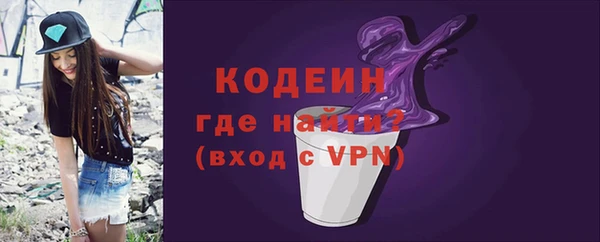 мет Инта