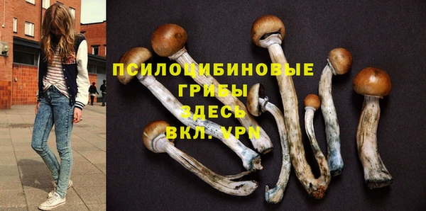 ГАЛЛЮЦИНОГЕННЫЕ ГРИБЫ Елабуга