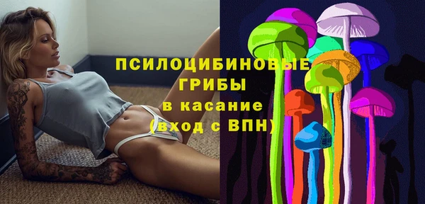 MDMA Premium VHQ Дмитриев
