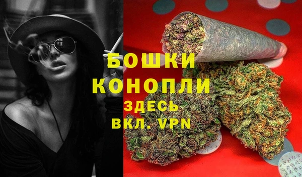 мяу мяу мука Дмитров