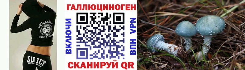 Псилоцибиновые грибы Cubensis  Купить  Куйбышев 