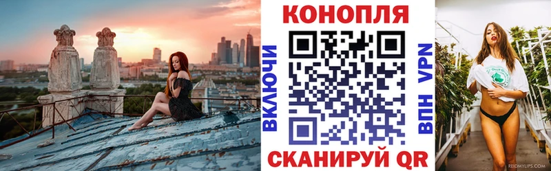 Купить  Куйбышев  МАРИХУАНА ГИДРОПОН 